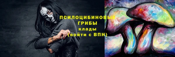 PSILOCYBIN Кинешма