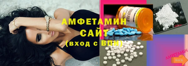 шишки Карпинск