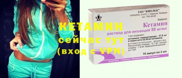 шишки Карпинск