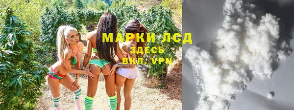 шишки Карпинск