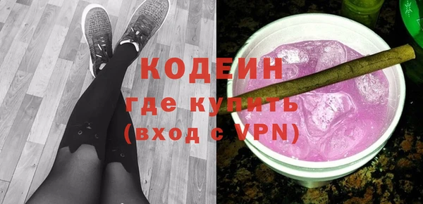шишки Карпинск