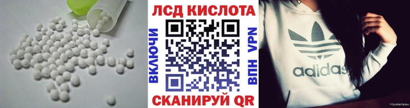 Купить закладки  Новозыбков  Лсд 25 экстази кислота 