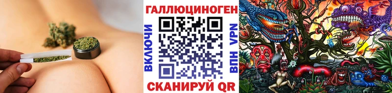 Псилоцибиновые грибы MAGIC MUSHROOMS  Купить закладки  Новозыбков 